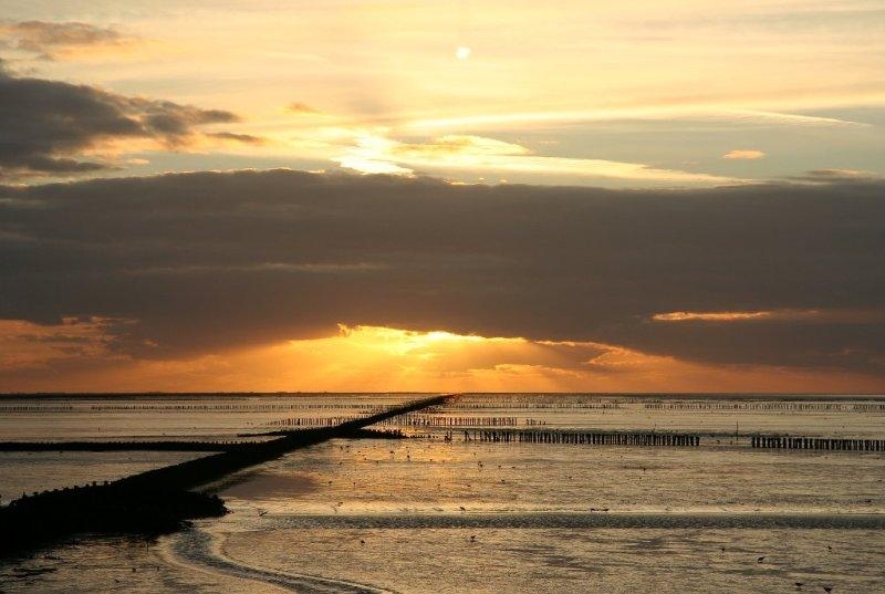 Waddenfoto Meindert van Dijk