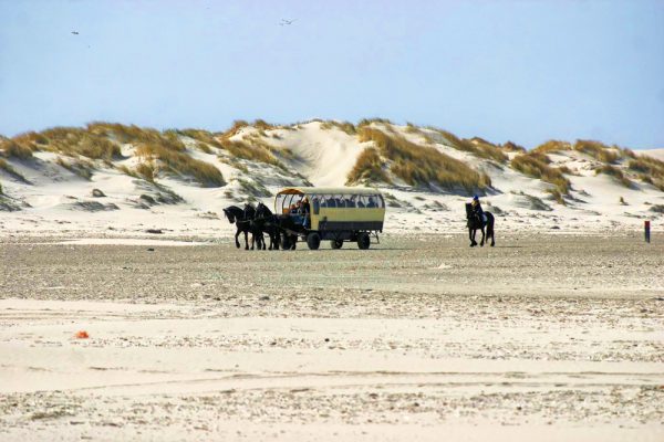 Huifkartochten Puur Terschelling