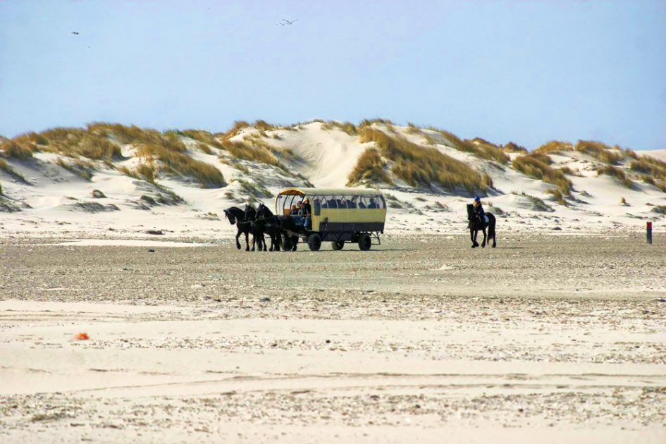 Huifkartochten Puur Terschelling