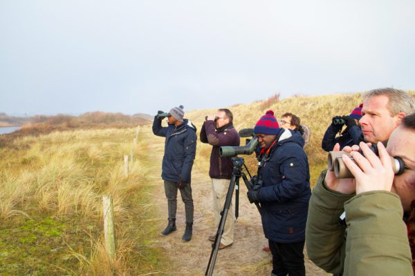 Vogelexcursies Texel