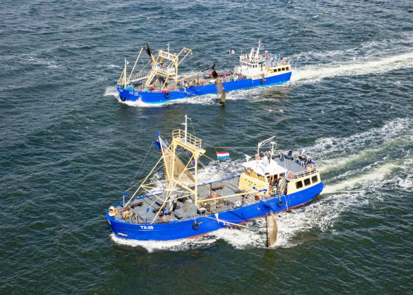 Garnalen vissen bij Texel met de TX10 & TX20