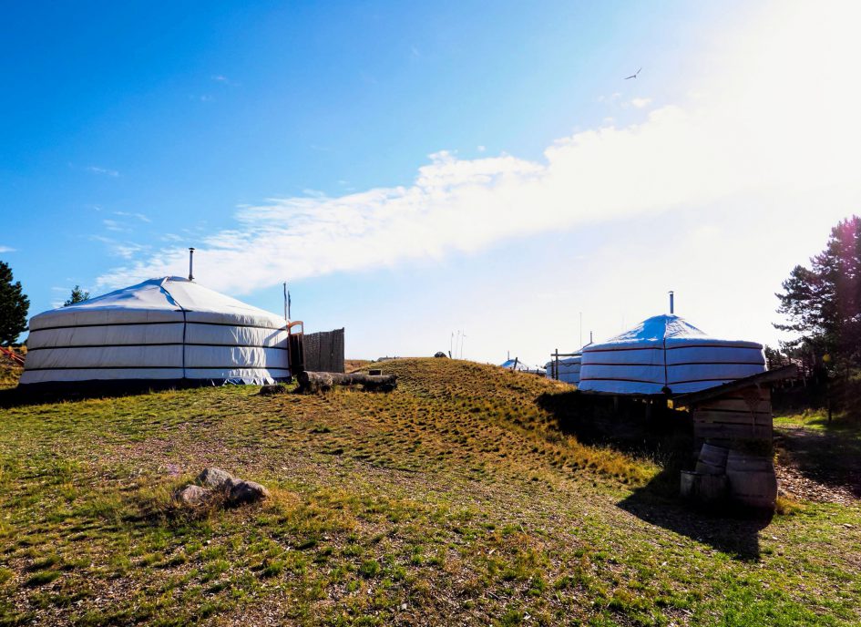 Kamperen Texel Yurts