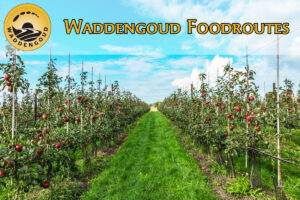 Waddengoud foodroutes