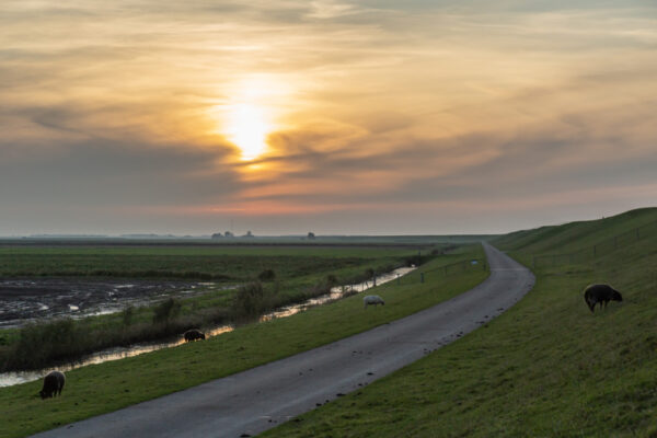 waddenfoodroutes