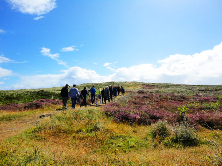 Waddengoud retraite Terschelling